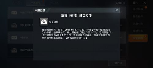 和平精英DDYS辅助