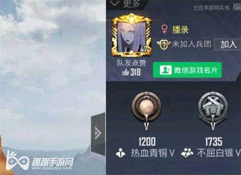 和平精英【星光】iOS辅助